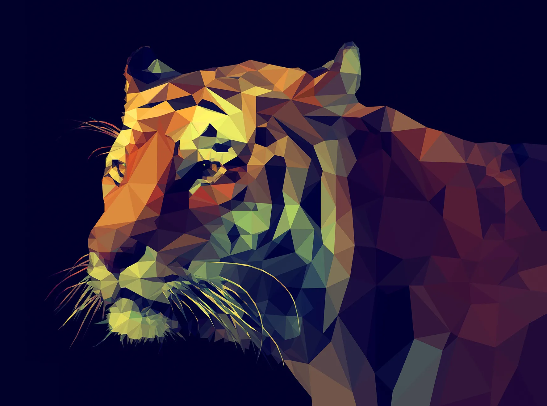 Keilrahmenbild COLOURFUL TIGER 182692