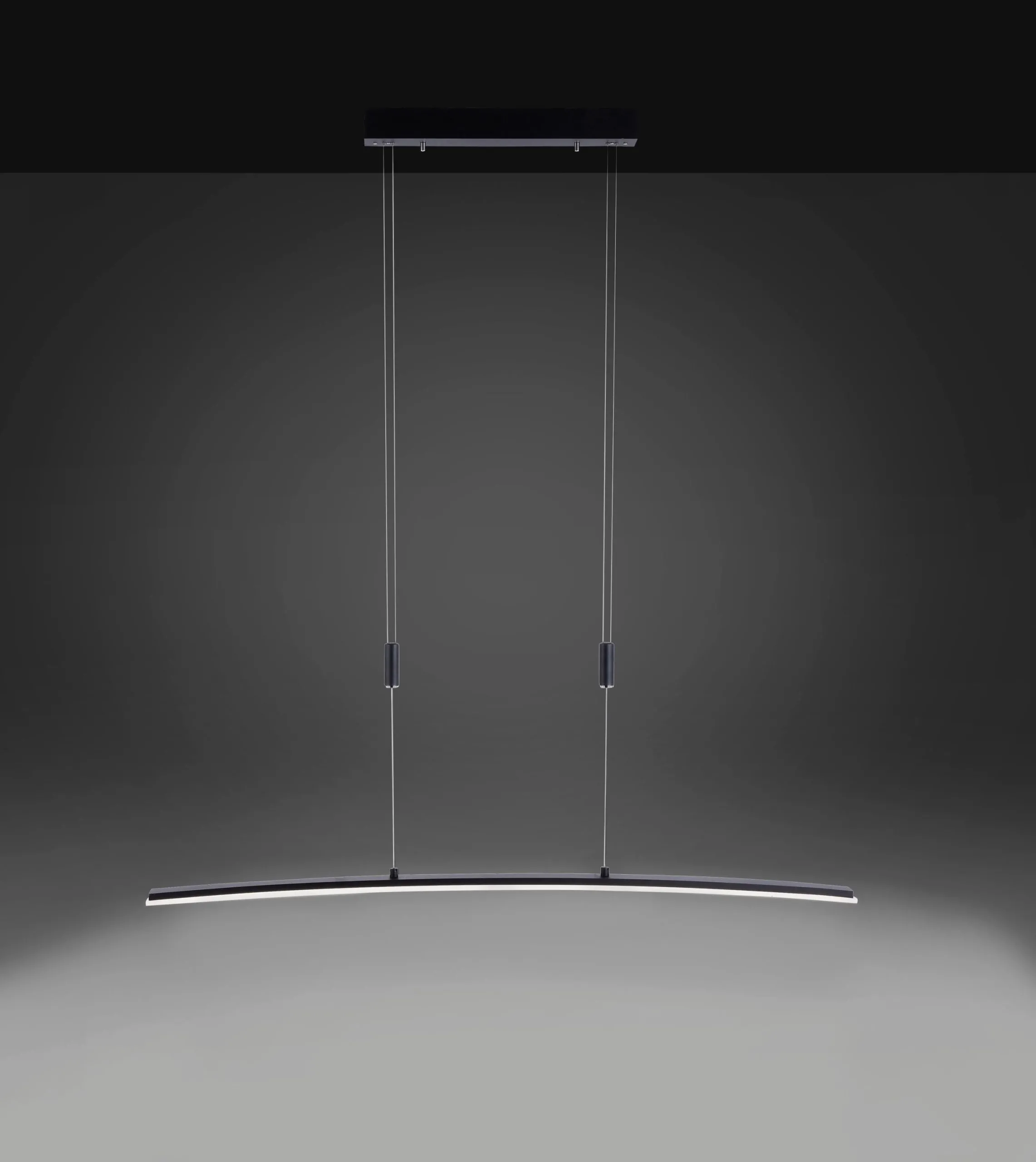 Pendelleuchte 250076