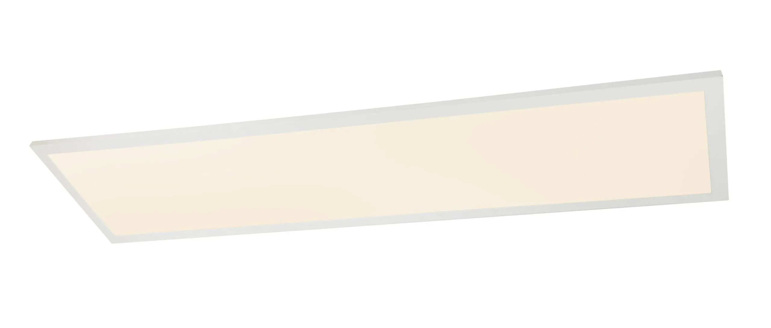 Deckenleuchte ROSI 254771