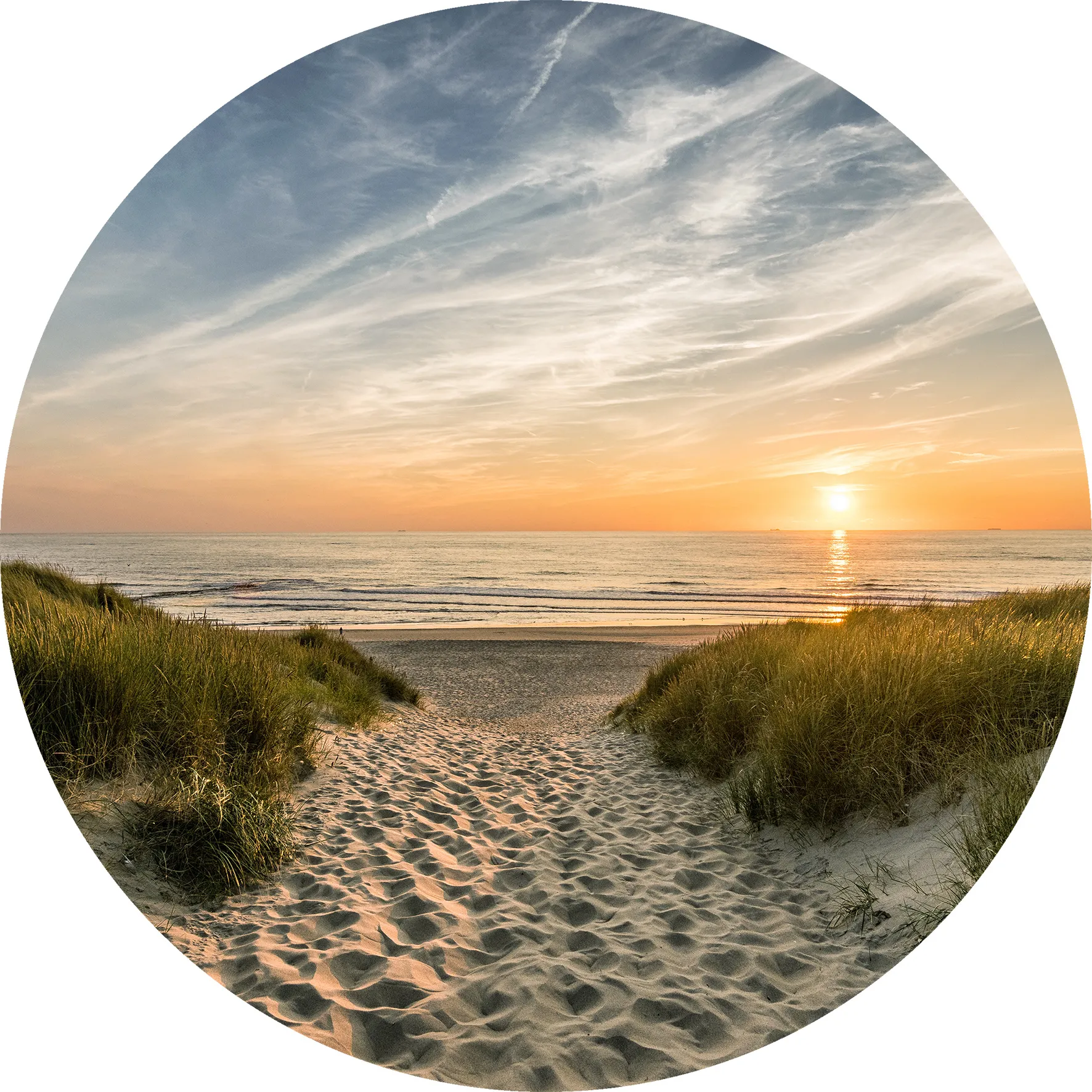 Glasbild WEG ZUM STRAND 258813