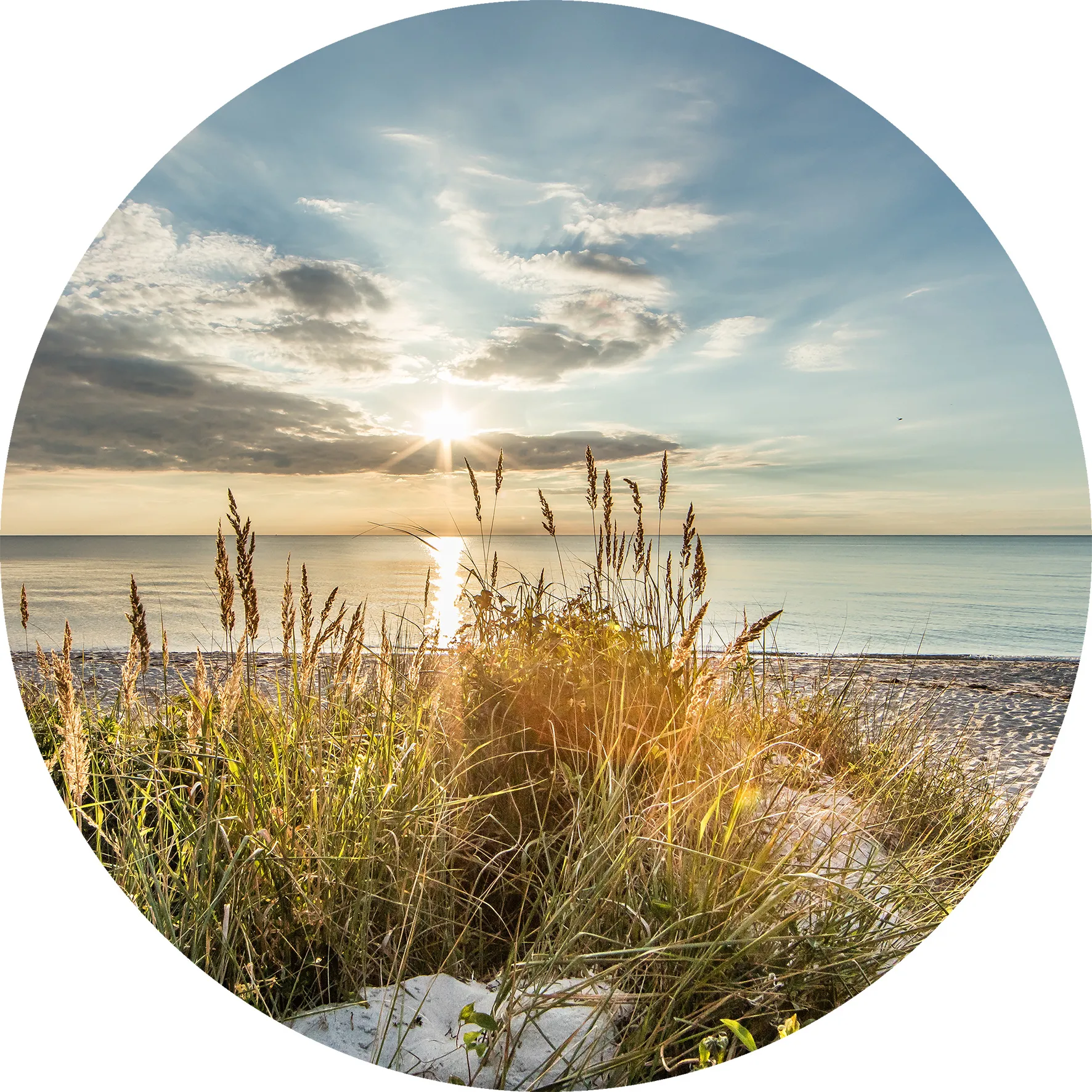 Glasbild WILDER STRAND 258900