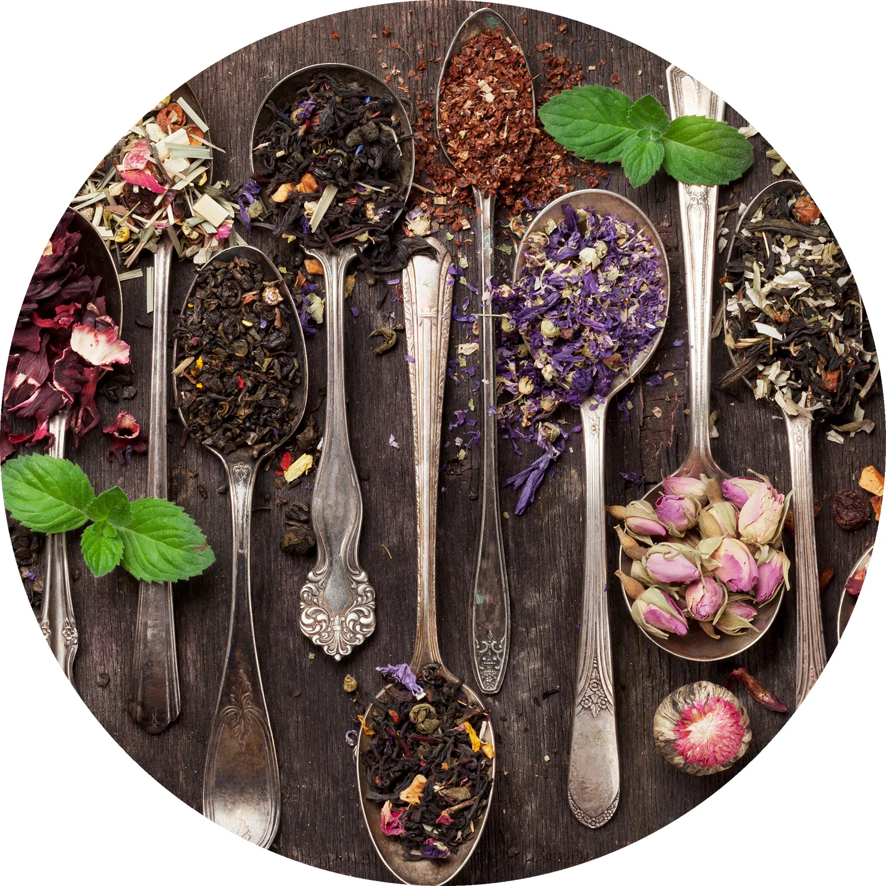 Glasbild GEWÜRZKREATION VI 258910