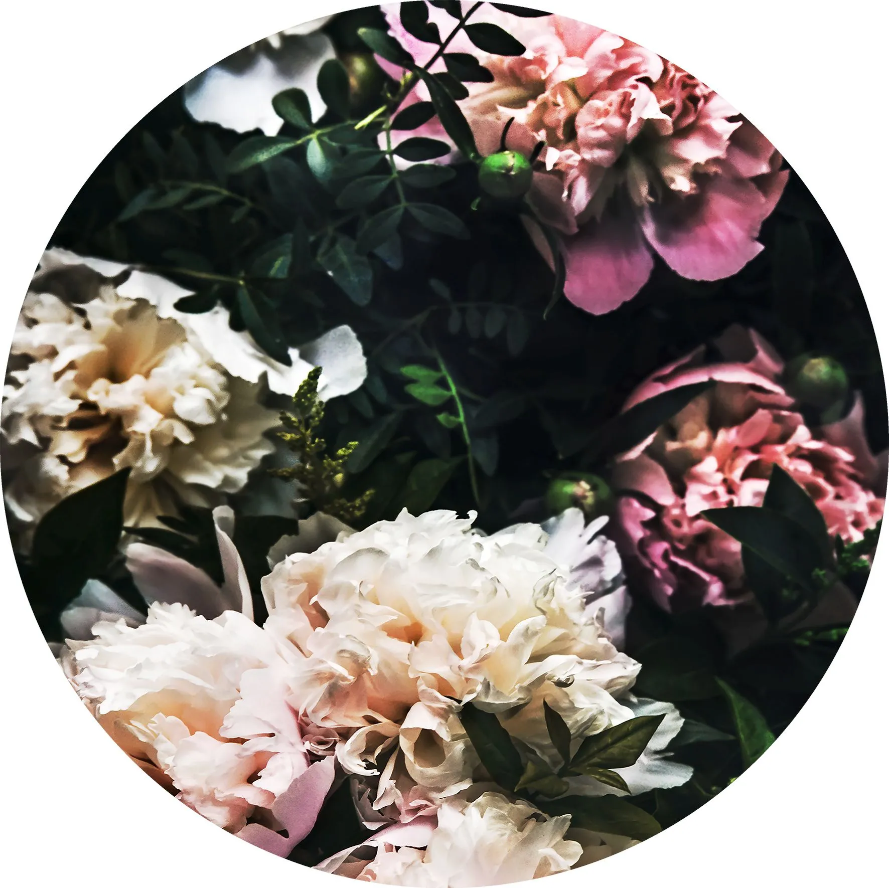 Glasbild SPICERY I 258929