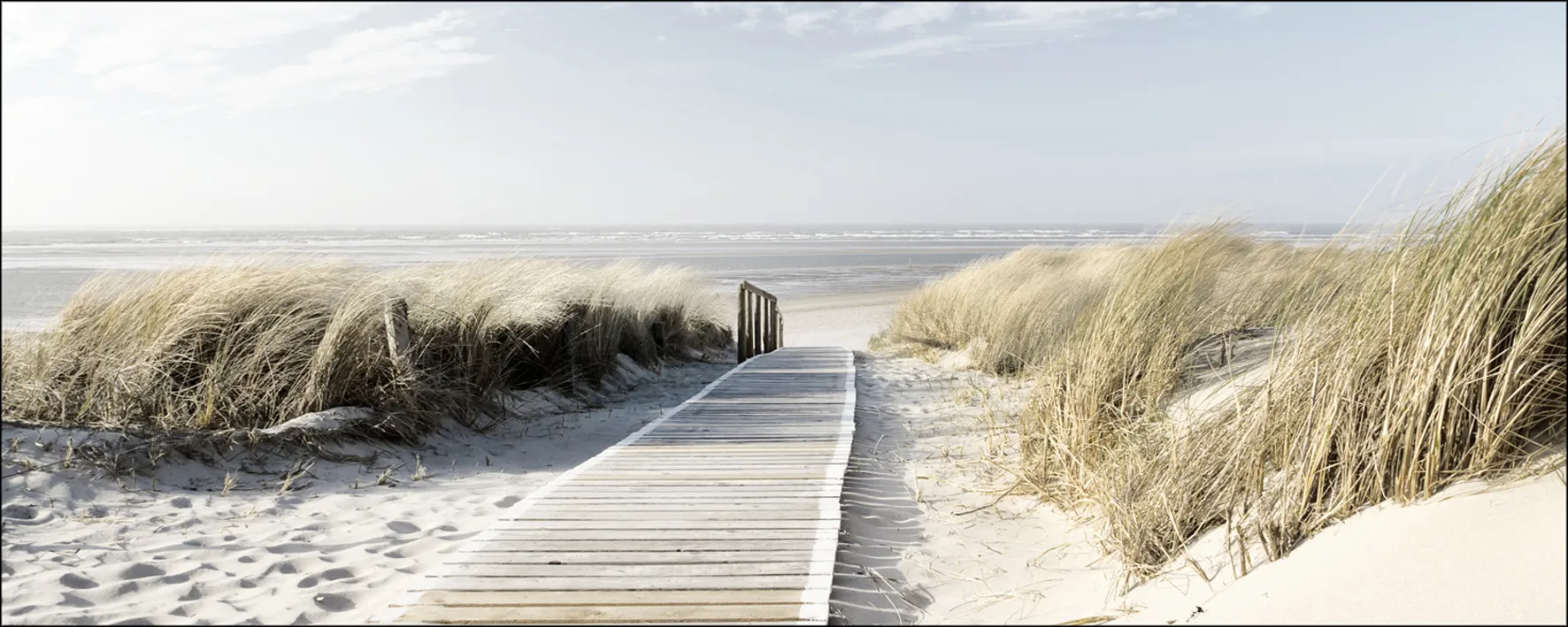 Glasbild SEEBLICK III 490580