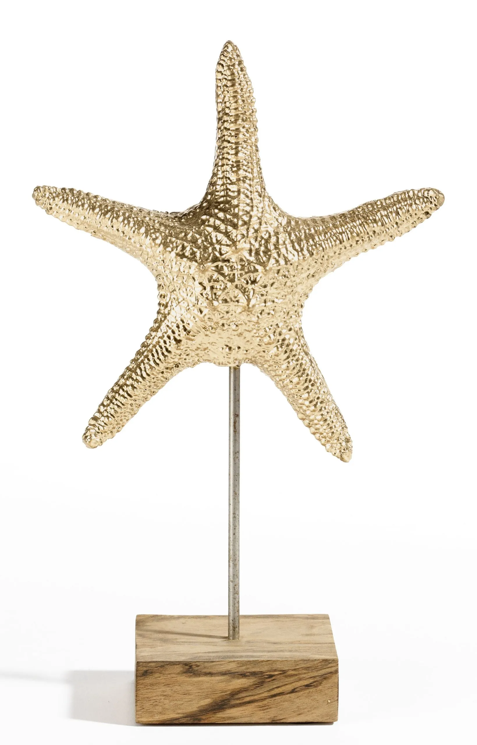 Deko-Objekt Muschel 546466