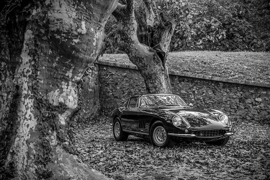 Aludibondbild 580751-1