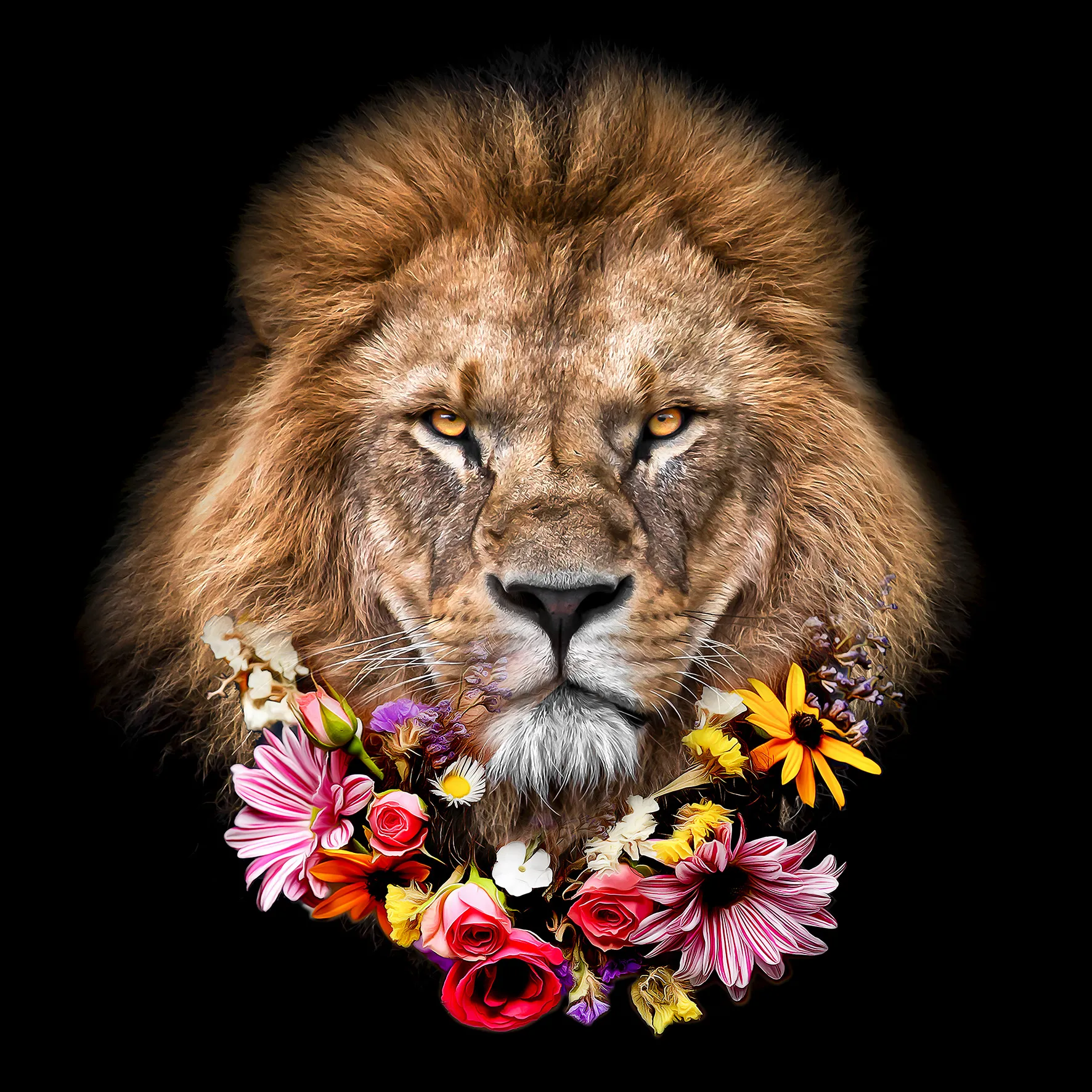 Glasbild FLOWERED LION 583143