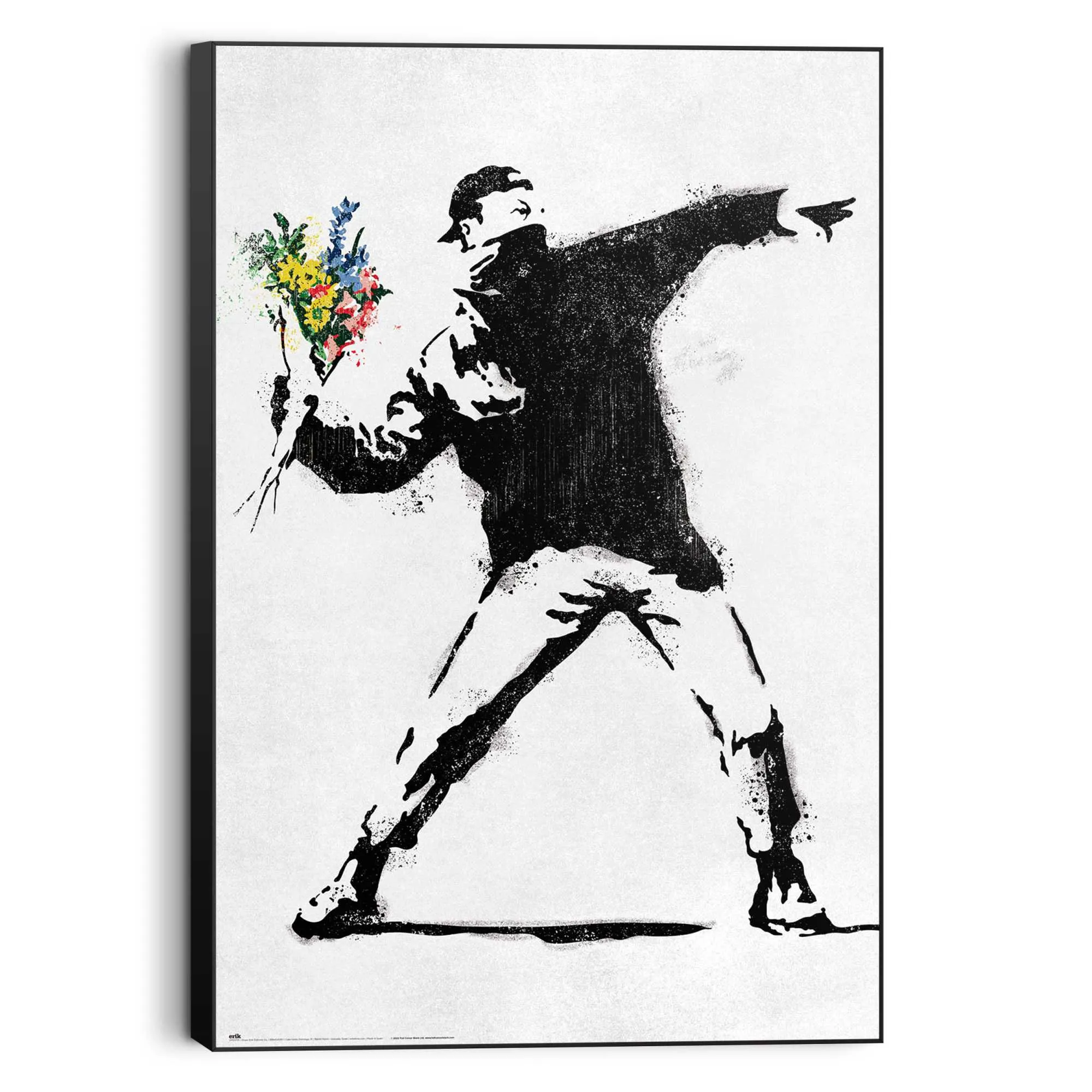 Bild BANKSY FLOWER BOMBER 583459