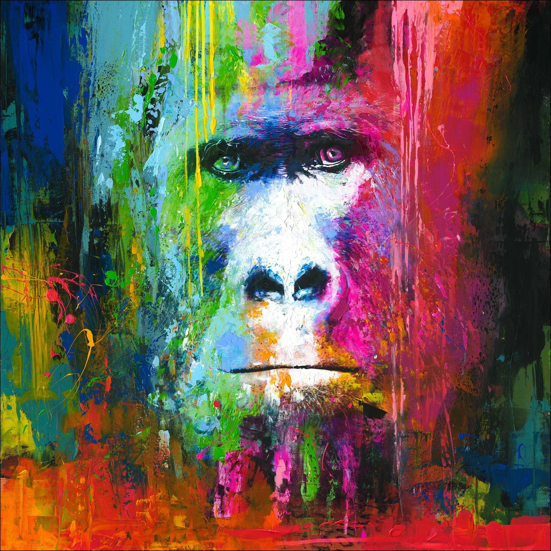 Originalbild COLOURFUL GORILLA 799203