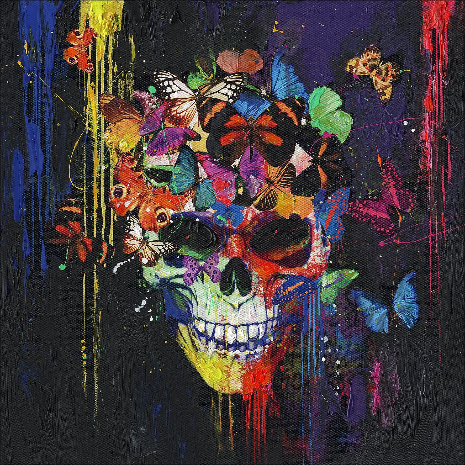 Originalbild COLOURFUL 993533