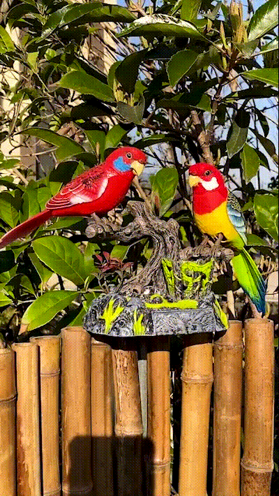 Zaubervogel™ Singendes und bewegliches Papageienspielzeug | 50% RABATT