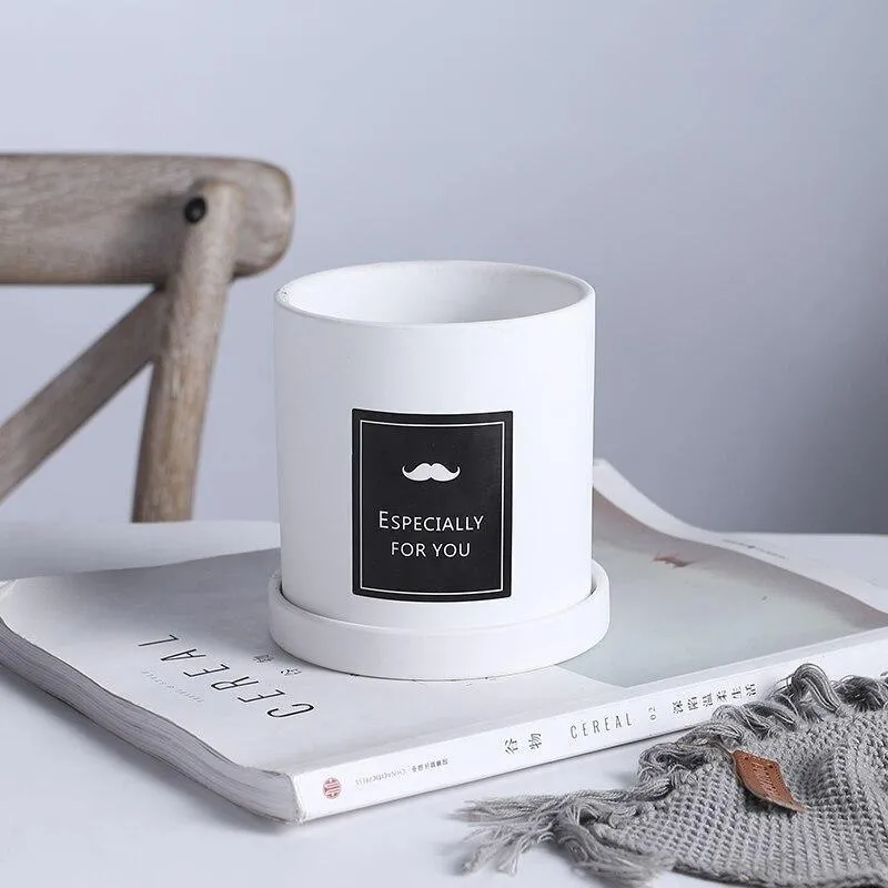 EverVase Pflanzenkollektion