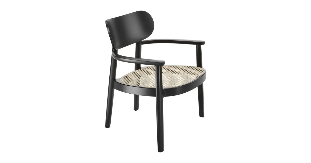 119 F Lounge Armlehnstuhl